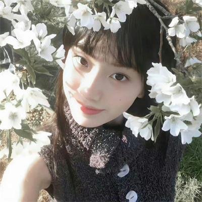 谍网亡魂